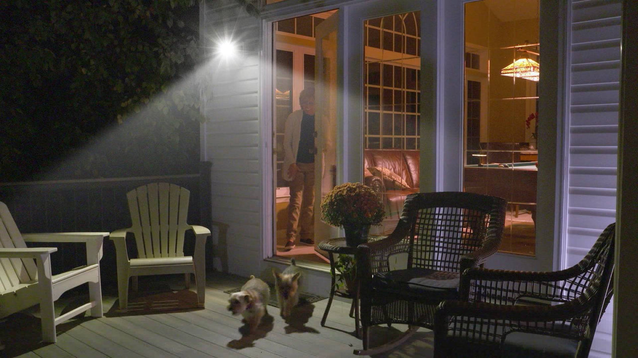 Night_Hawk_Security_Light - Shed City